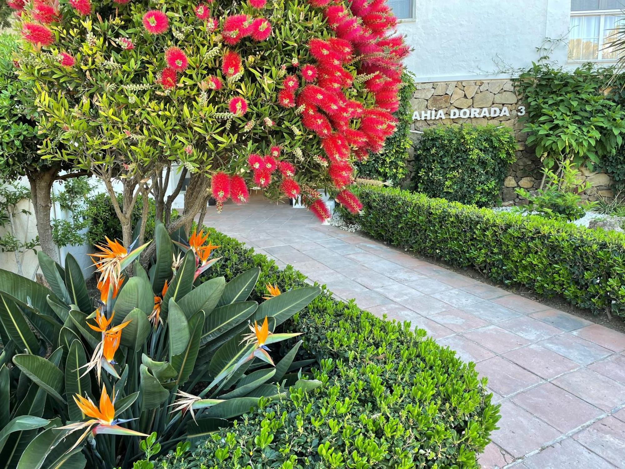 La Casa De Colores Estepona Exterior foto
